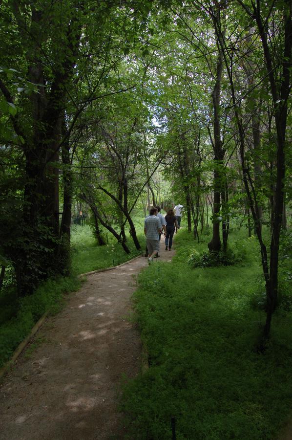 Hosteria Millahue San José de Maipo 外观 照片